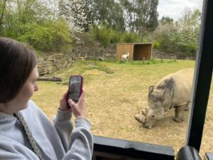 A young woman taking a photo of a rhino at a zoo